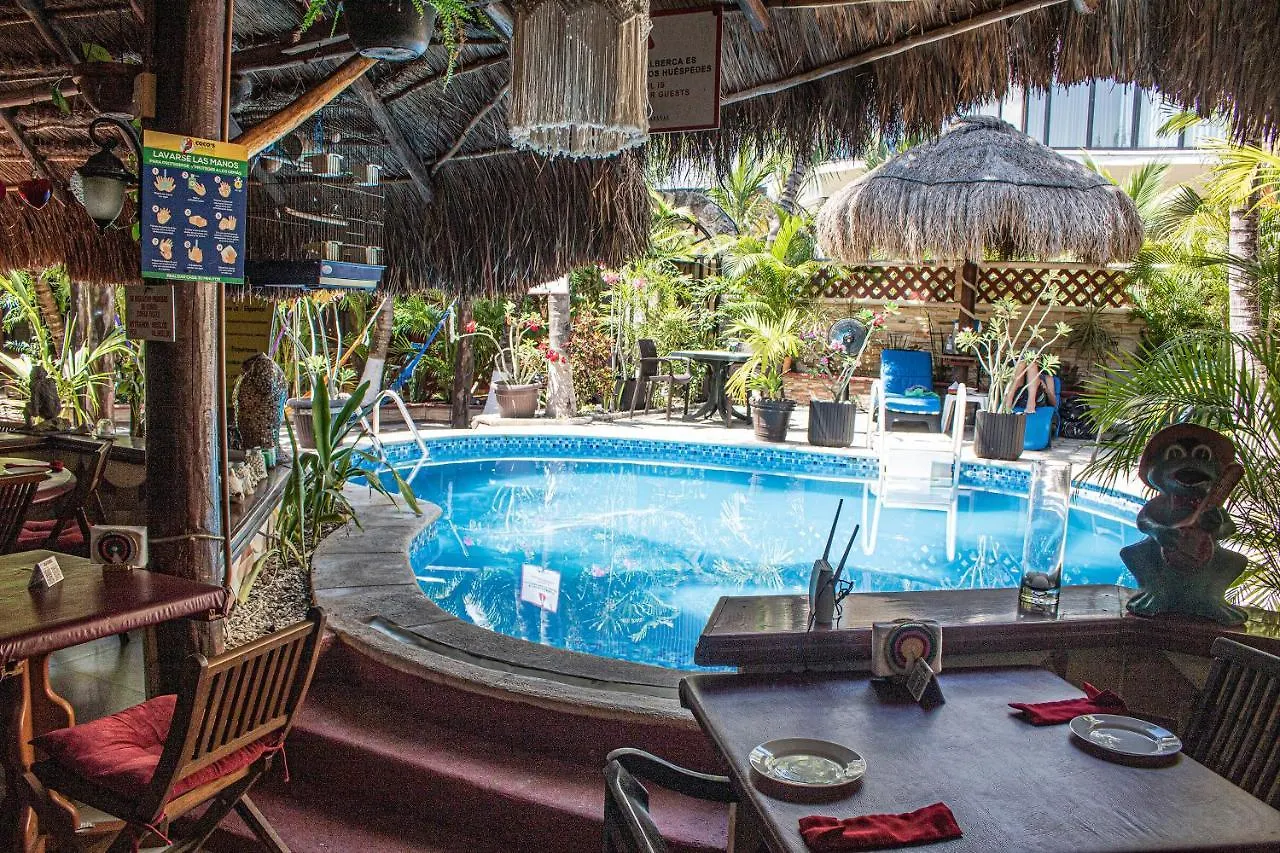 Cocos Cabanas Playa Del Carmen Adults Only