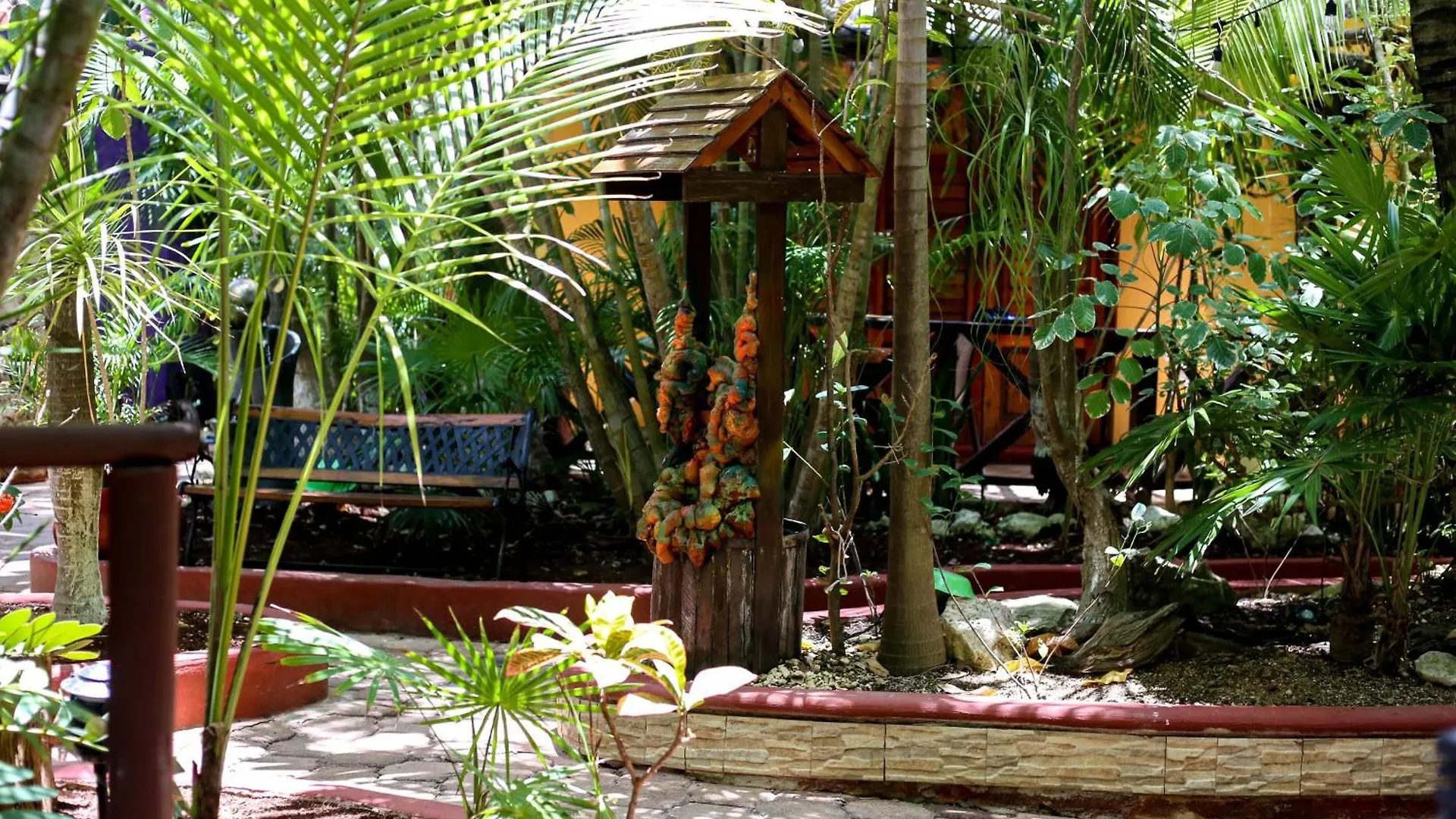*** Hotel Cocos Cabanas Playa Del Carmen Adults Only Mexico