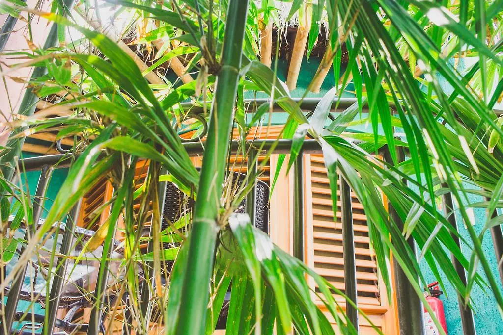 Cocos Cabanas Playa Del Carmen Adults Only 3*,  Mexico