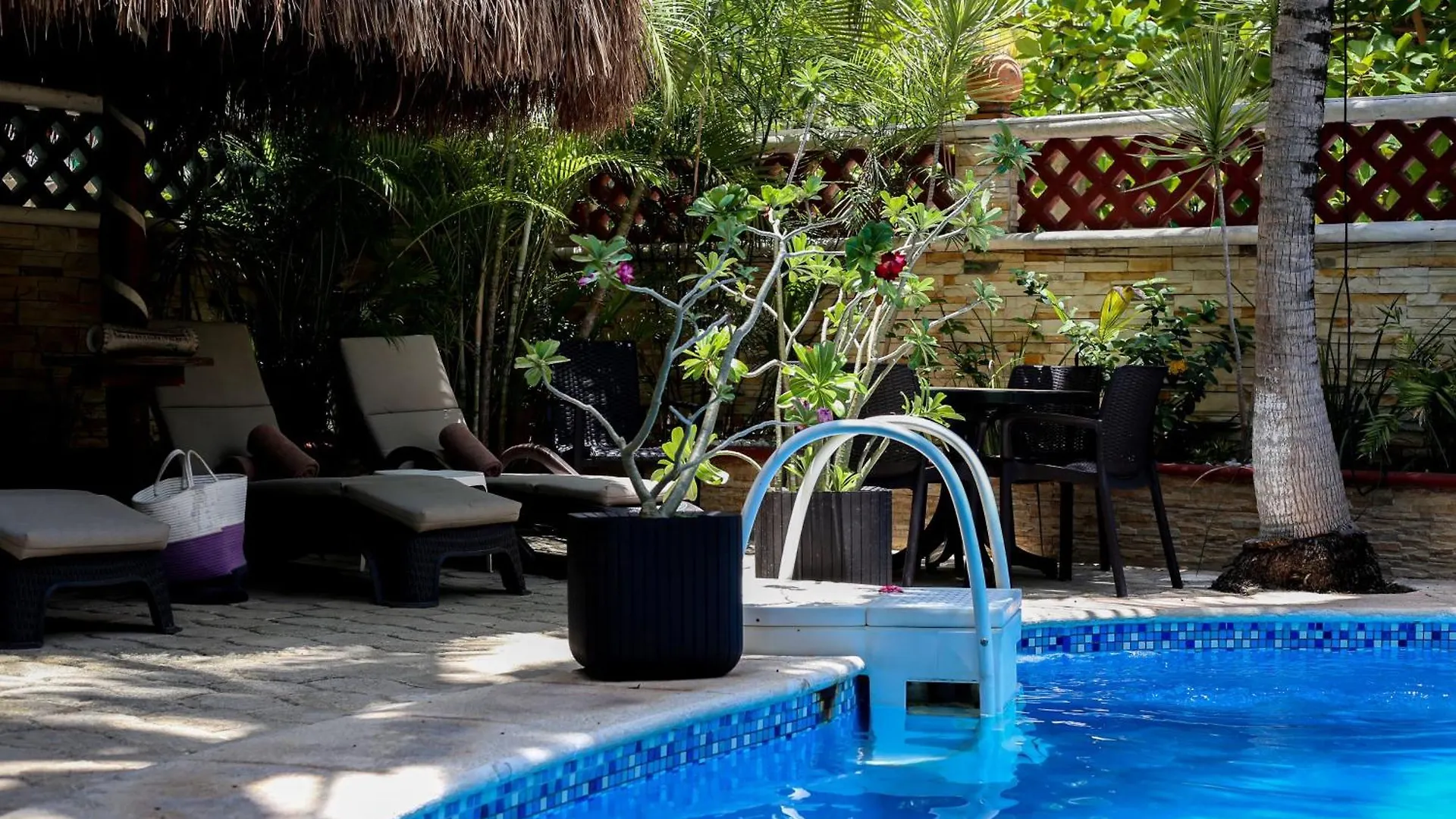Cocos Cabanas Playa Del Carmen Adults Only Hotel