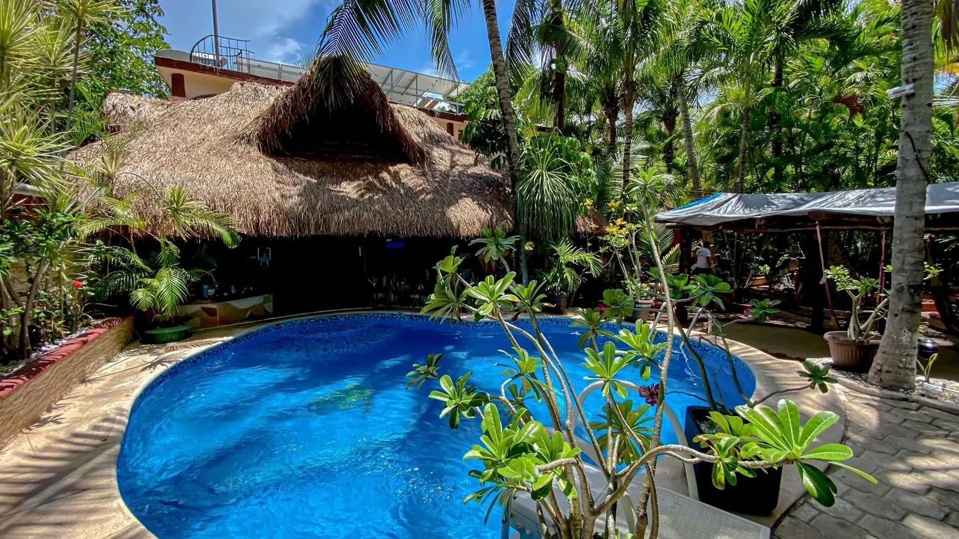 Cocos Cabanas Playa Del Carmen Adults Only