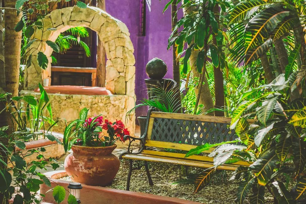 Cocos Cabanas Playa Del Carmen Adults Only 3*,