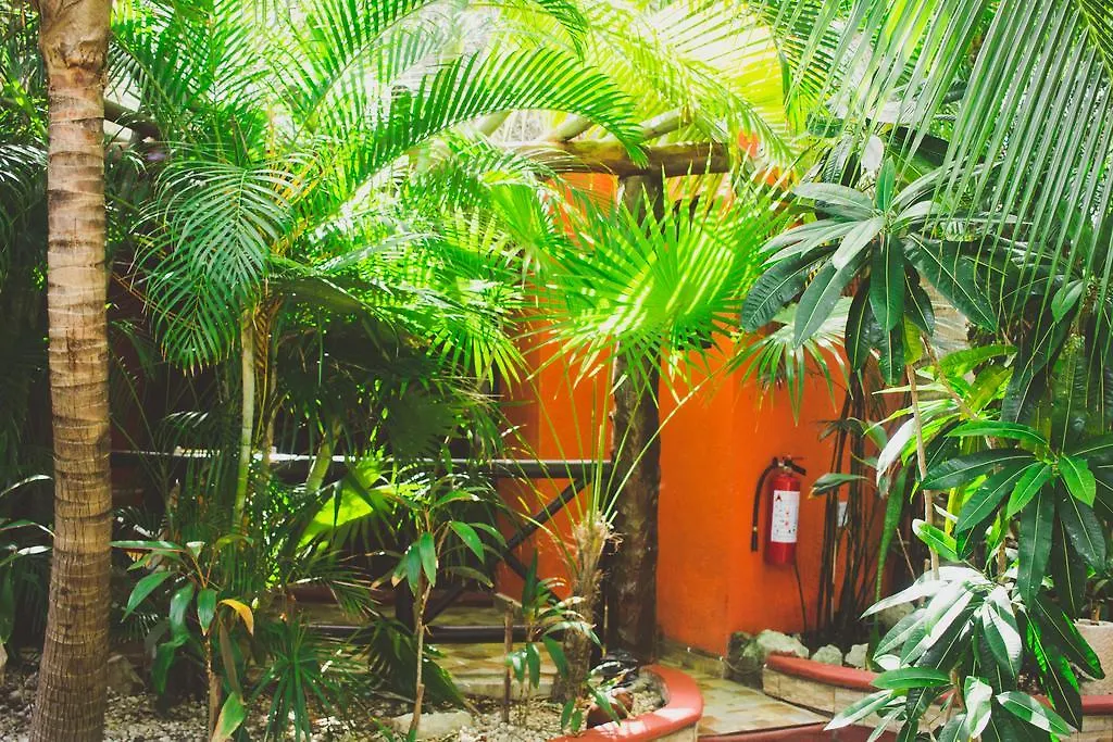Cocos Cabanas Playa Del Carmen Adults Only 3*,